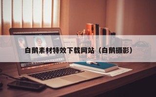 燕郊白鹅素材特效下载网站（白鹅摄影）